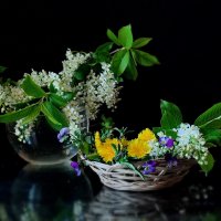 Аромат черёмухи :: Валентина Богатко