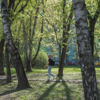 Утро :: юрий поляков