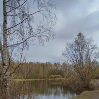 .Весна. Парк Сосновка. :: Лилия * .Весна. Парк Сосновка. :: Лилия *