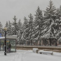 Подарок апреля :: Виктор Иванович Чернюк Подарок апреля :: Виктор Иванович Чернюк