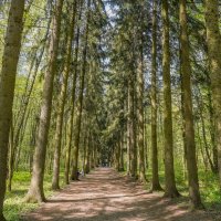 В весеннем парке... :: Владимир Жданов