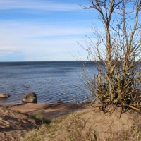 Ладожское Озеро :: Наталья Герасимова