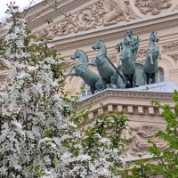 8 мая :: Михаил Бибичков