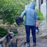 Прогулка :: Юрий Гайворонскiий
