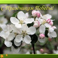 С Праздником Великой Победы! :: Галина Нестратова