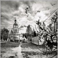 Гребнево :: Любовь 