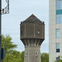 В городе с павлином на гербе. :: Pippa 