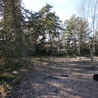 На берегу Ладожского озера :: Наталья Герасимова