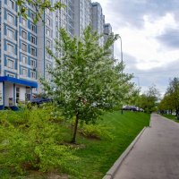 Шипиловская ул. Москва :: Олег 