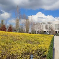 Краснодар в апреле :: Елена Байдакова