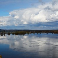 Отражения. :: Михаил Колосов 