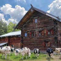Вечер :: Александр Силинский