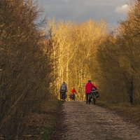 По такой вот булыжной мостовой спускаемся к реке :: Сергей Цветков