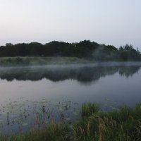 утро :: Fenimor KAPER 