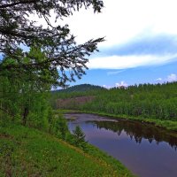 Река Амалат :: Мишель71