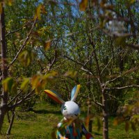 "Калинково". Заяц-трудяга. :: Константин Белоногов