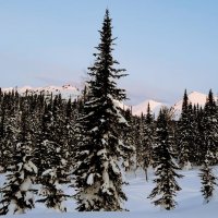 Зима :: Георгиевич 
