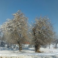 ..... :: Murat Bukaev 