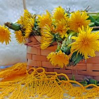Солнечные одуванчики! :: Валентина  Нефёдова 