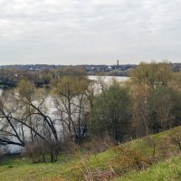 Речка Проня утром :: Сергей Цветков