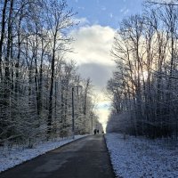 прогулка в парке Саранска. :: ИРЭН@ .