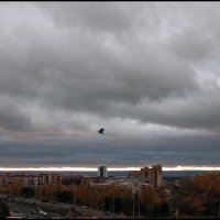Осень :: **** vedin