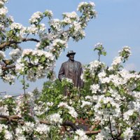 ВДНХ 15 мая :: Михаил Бибичков