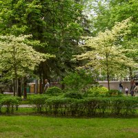 Парк в городе Гомель :: Игорь Сикорский