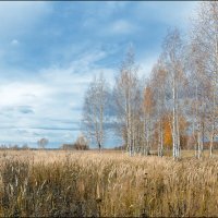 Осень :: **** vedin