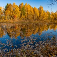 Осень :: Александр Леонтьев Осень :: Александр Леонтьев