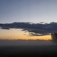 Вечерний туман :: Валентина Богатко 