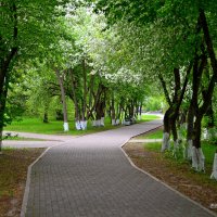 Дорожка налево,дорожка направо...Или прямо? :: Михаил К