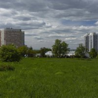 солнечный день :: Ирина Милонова