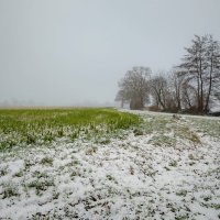 В снежный день января... :: Николай Гирш В снежный день января... :: Николай Гирш