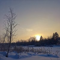 Зима рассвет :: Александр 