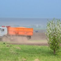 Посевная... :: Влад Никишин