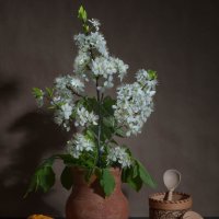 с цветущей сливой :: Анатолий Нецепляев