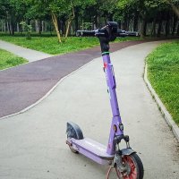 *** :: Игорь Протасов
