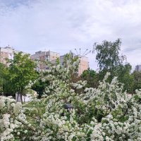,,, :: Сергей Тимоновский ,,, :: Сергей Тимоновский