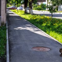 Безмятежность :: Eugene *