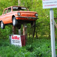 словно летящий жопорожец... :: Артём Евтюхов