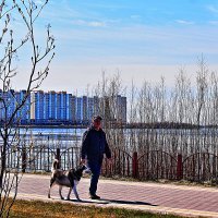 Май...Любимое место прогулок с собакой! :: Владимир 
