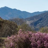 Весна в горах :: Виктор Ковчин