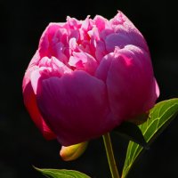 Добрый день :: Юрий. Шмаков