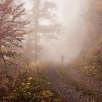 misty autumn :: Elena Wymann