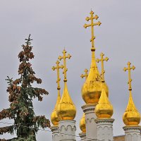 Золотые купола :: Светлана 