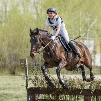 Кросс :: SanSan 