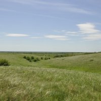 Ковыль. :: Виктор 
