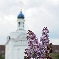 *** :: Алексей Смирнов