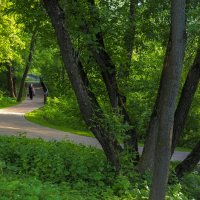 В Весеннем Парке :: юрий поляков